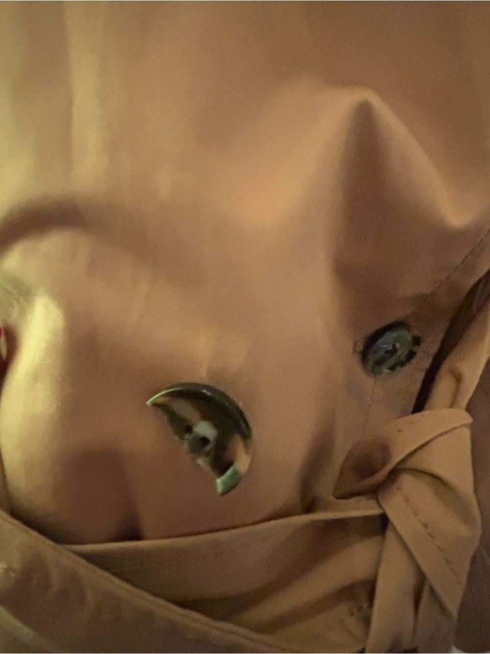 Banana Republic Tan Trench Coat with Tie Belt - Picture 4 of 9